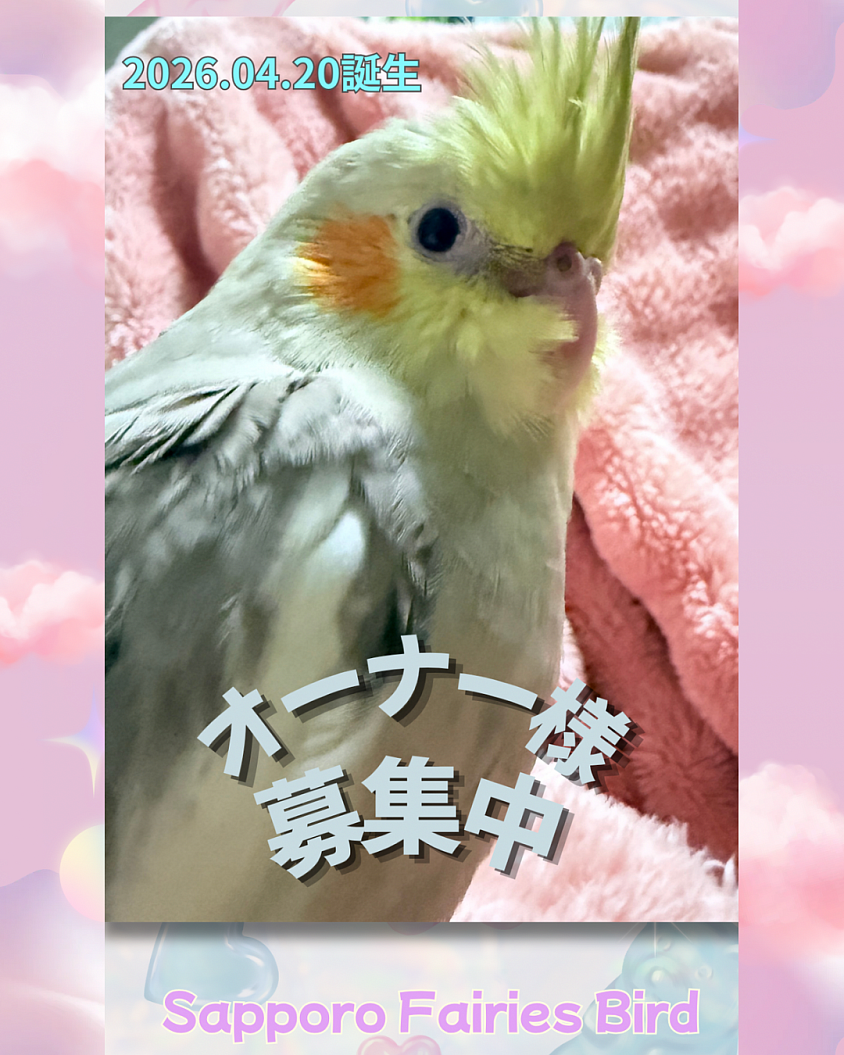 元気で健康なシナモンちゃんです✨✨✨